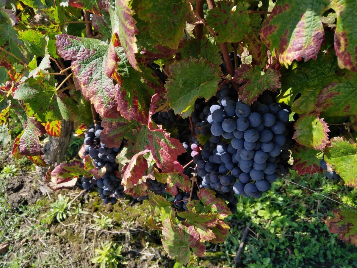 L'Echappee Belle En Champagne Villa Spoy  Dış mekan fotoğraf