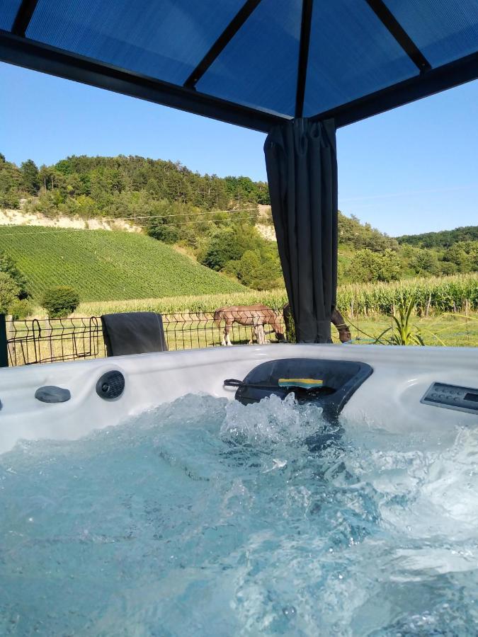 L'Echappee Belle En Champagne Villa Spoy  Dış mekan fotoğraf